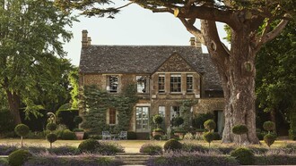 Thyme, The Lodge by Rich Stapleton