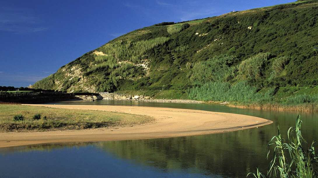 Biotopos, considerados como espacios verdes muy populares