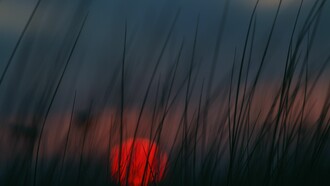 Penumbra de cielo sol y yerbas