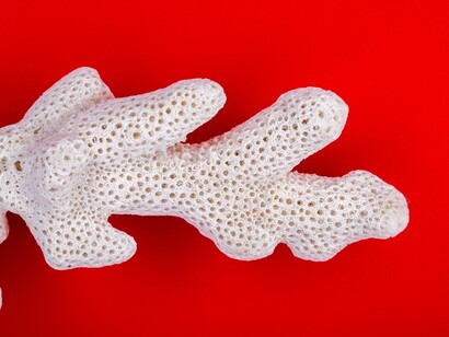 Era un mundo raro donde el mar se vertía en riachuelo