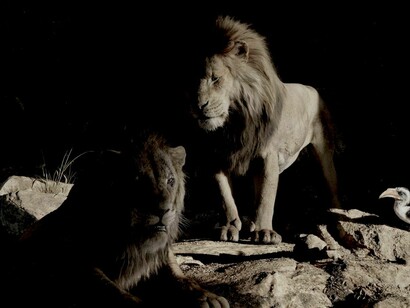 «El rey león» (2019)