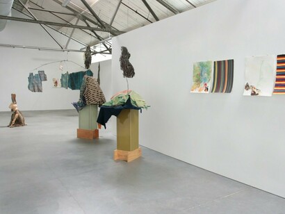Anne Chu, Exhbiition view. Courtesy of Anglim Gilbert Gallery