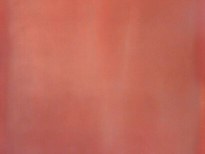 Tom Burrow, Viettesia
polymer resin
48 x 48 in.  
