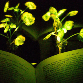 Nature. Courtesy of Cooper Hewitt