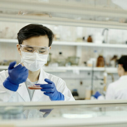 Cientistas. Ela é uma molécula de sinalização fundamental tanto no intestino quanto no cérebro