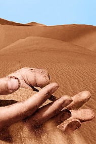 We humans (and, in general, the whole life on this planet) thrive on a single grain of sand! The ratio between one single grain of sand and the whole sand of the Sahara desert is very close to the ratio between the number of all the natural proteins existing on Earth and the number of all the theoretically possible proteins.
