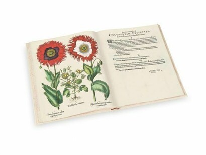 Pagine della versione facsimile del Besler