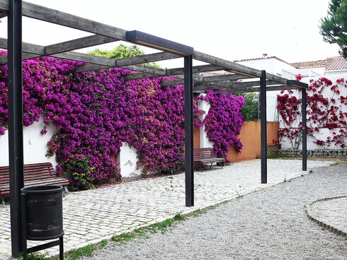 En el Parque Campassoi en una placa se puede leer: "Con Malgrat relaciono siempre todos los sueños encantados de mi infancia". Plaza de incisa, Maigrat de Mar, Barcelona, España