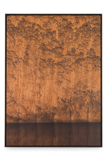Clifford Ross
Untitled, 2020
Cured inkjet on wood
63 x 45 1/2 inches (160 x 115.6 cm)