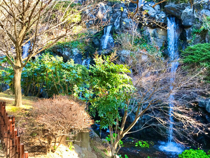 Ume-mi no Taki waterfall, Atami Plum Garden, Shizuoka, Japan © Alma Reyes