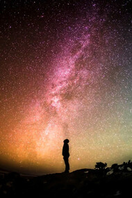 La percepción y la comprensión nos permiten experimentar la vida