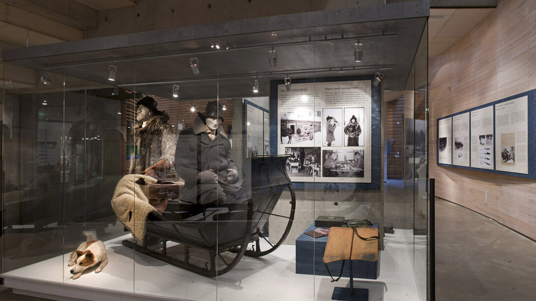 The old logging site. Courtesy of Lusto