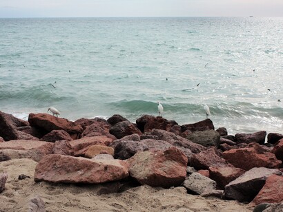 Puerto Vallarta, México. Playa rocosa. Foto: Rebeca Rodríguez