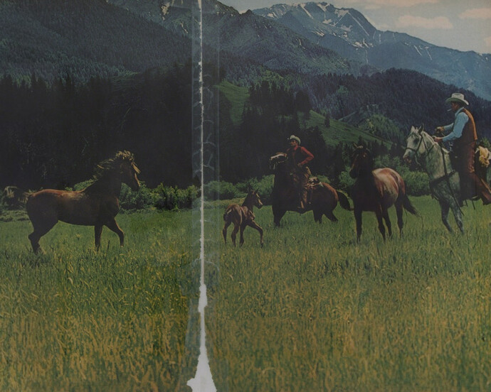 Richard Prince. Courtesy of Los Angeles County Museum of Art (LACMA)