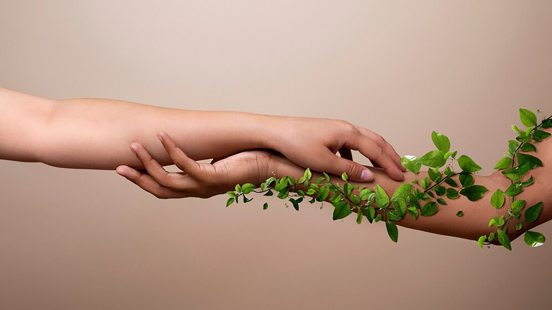 A representation of ecofeminism through hands, one adorned with extending green leafy branches, embodying the connection between women and the environment
