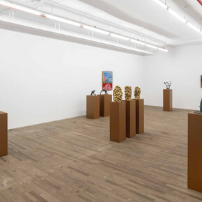 Diambe, honey honey honey, exhibition view. Courtesy of kaufmann repetto