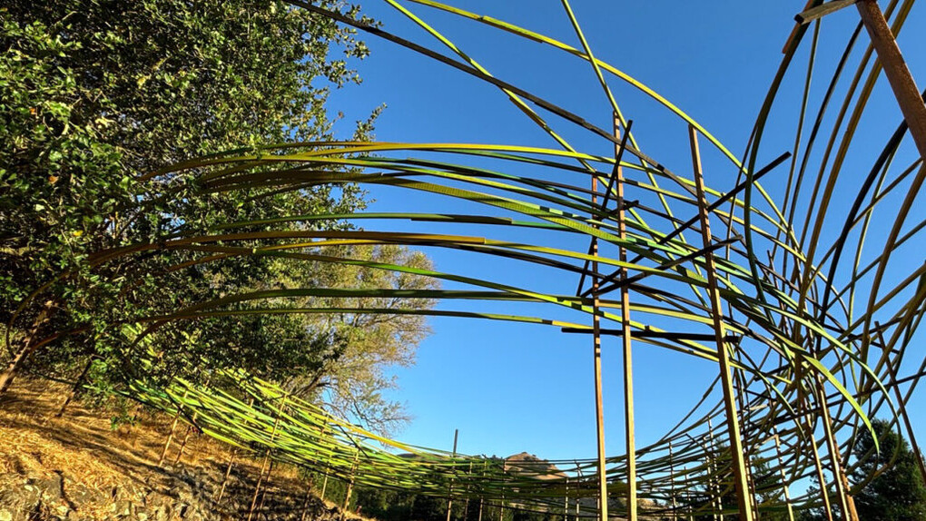 Philip Krohn and Auxart, Hawks and doves, exhibition view. Courtesy of Di Rosa Gallery