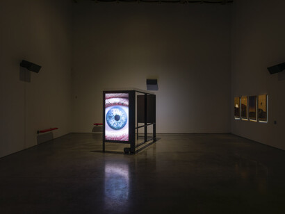 Mark Leckey, 3 songs from the liver, exhibition view. Courtesy of Gladstone Gallery