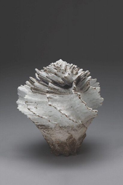 New Forms, New Voices. Courtesy of NOMA 