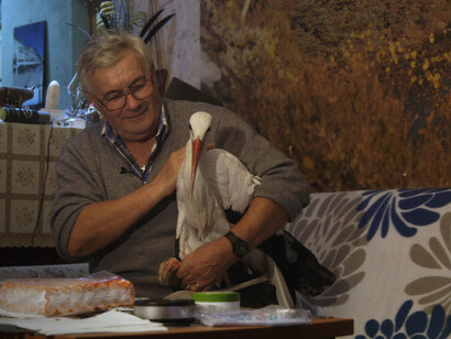 Una scena del film Storkman