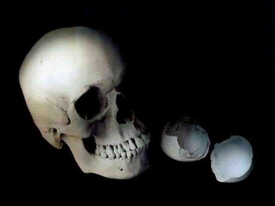 Dove Bradshaw, They Were and Went, 2004, Duraclear film, 14 x 17 inches