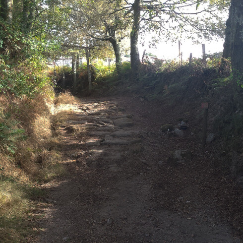 A Via Antiqua em Vieira do Minho (caminho do Pousadouro)