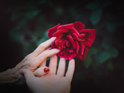 El Amor es tan vibrante que cuando conectamos con el corazón de otros, podemos llegar a sentir su dolor