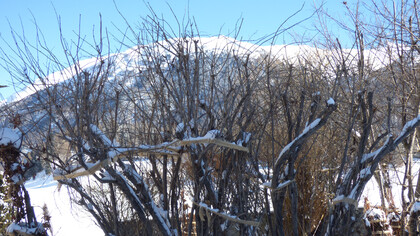 Protezione dalla neve