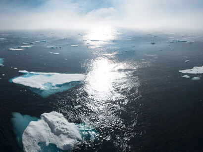 Humanity is waging what he describes as a suicidal war on the natural world