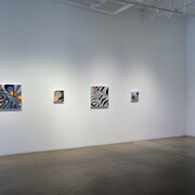 Shannon Cannings, Distortions, exhibition view. Courtesy of Cris Worley Fine Arts