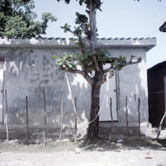 Finding Home. Courtesy of Spinello Projects