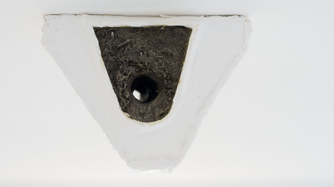 Bruno Botella, Rat ce nectar, 2013 silicone, peli pubici / silicone, pubic hair, 29×28×20 cm
