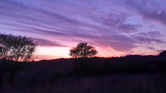 Il pensiero non si ferma quasi mai a obbiettivi individuali, foto Valeria Nardi