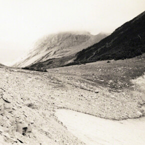 The Origins of Grey. Courtesy of Pierogi