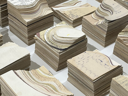 Alberto Alejandro Rodríguez, Descriptive Memory (detail). Courtesy of the artist and 532 Gallery