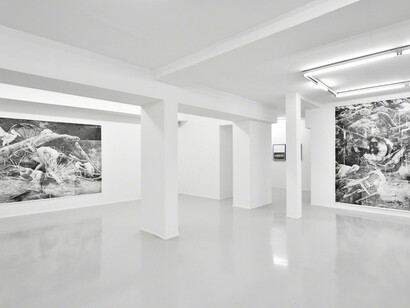 Zone, Exhibition view. Courtesy of Suzanne Tarasieve