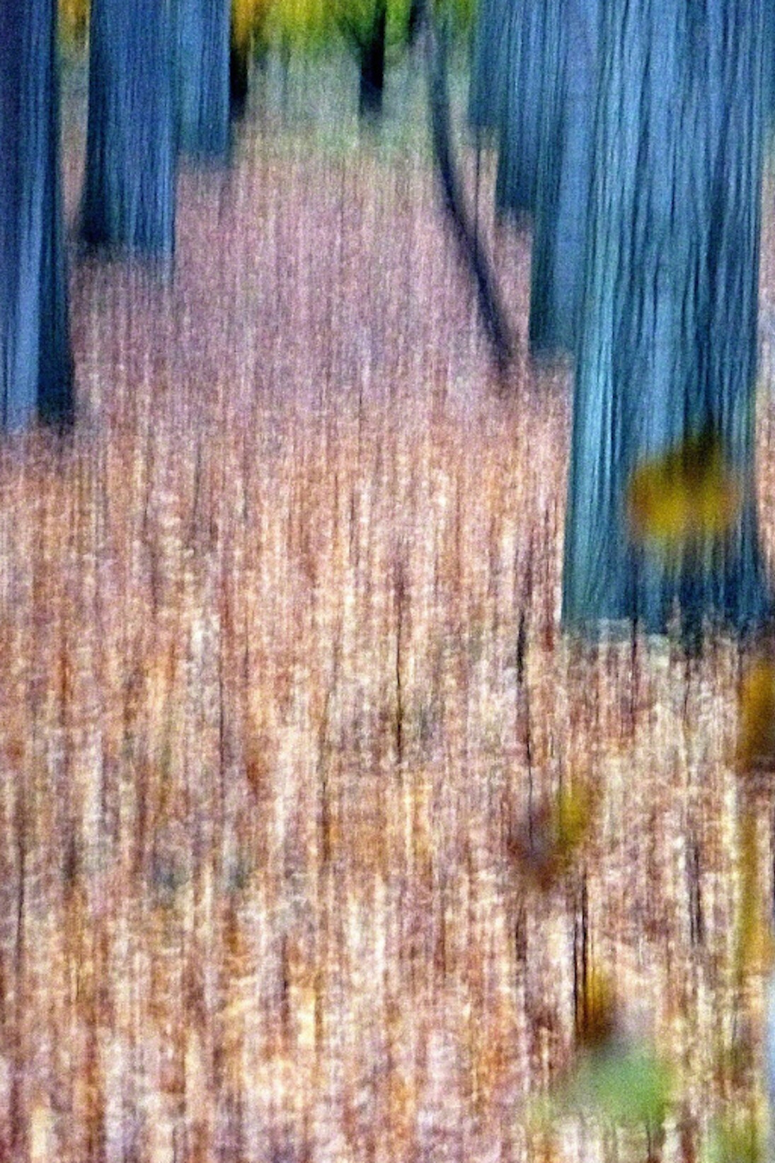 Anne Pharel, 21.11.204, 2014. Courtesy of Photo12 Galerie