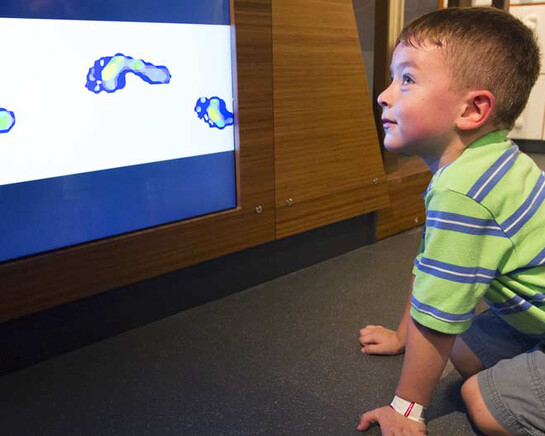 Hall of Human Life. Courtesy of Museum of Science 