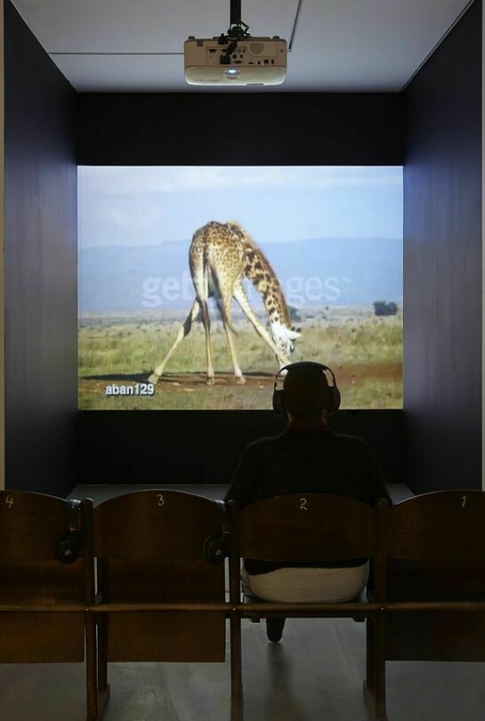 Aleksandra Domanović, Anhedonia, 2007, Single channel video, 90:00 min, courtesy of the artist and Carroll / Fletcher