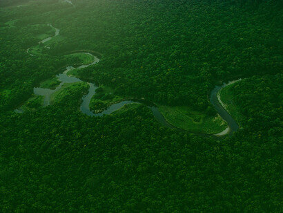Francesco unisce una percezione mitica e mitizzante dell’Amazzonia quale “bioma culturale” e umano ad una visione identitaria e territoriale 