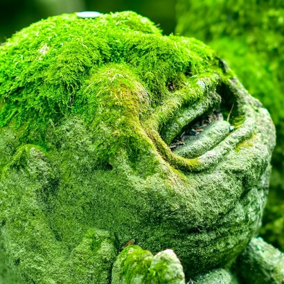 Los niños de agua: la leyenda de los «mizuko»