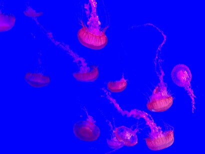 Era una vida en santiamén, pero duraba una eternidad