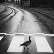 Warm Regards. Courtesy of Photo-eye Gallery