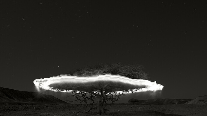 Ugo Ricciardi. Courtesy of Burning Giraffe Art Gallery