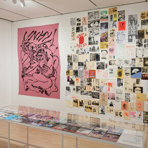 Various artist, Unity through skateboarding, exhibition view. Courtesy of San Francisco Museum of Modern Art