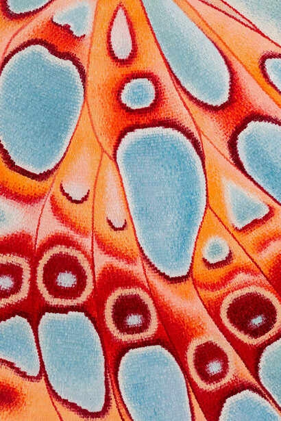 Ava McDonough, The wind on Venus, 2024. Courtesy of Shrine Gallery