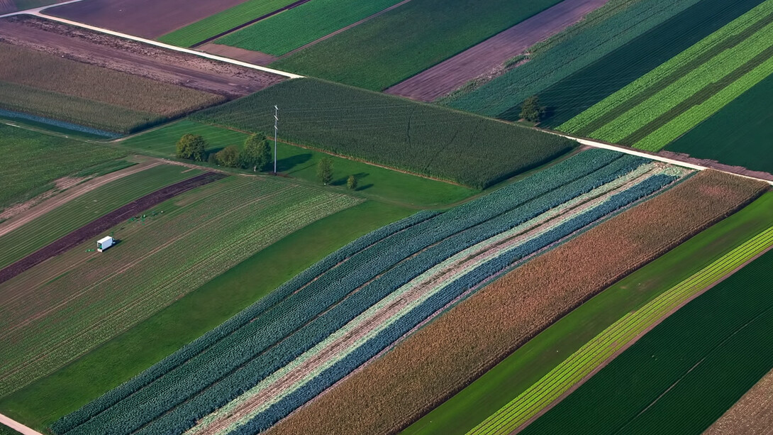 El retorno de la permacultura, la agricultura biodinámica, los huertos urbanos que permiten generar alimentos sanos y orgánicos con el sabor de la labor cotidiana de cuidar la huerta
