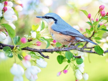 We are all staring out our windows with amazement that the seasons, the rhythms of life go on without us