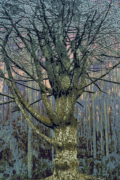 Bradlee Shanks, Soulful tree (detail). Courtesy of Momentum Gallery