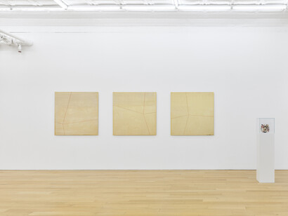 Su-Mei Tse, This is (not) a love song, exhibition view. Courtesy of Peter Blum Gallery